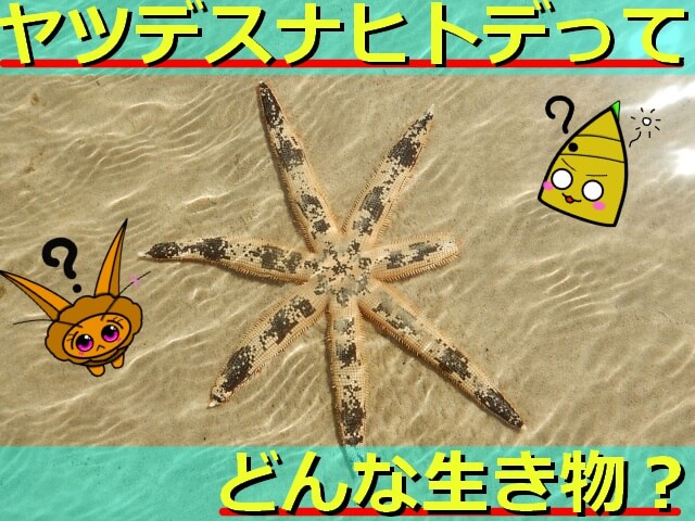 Thumbnail of post image 080